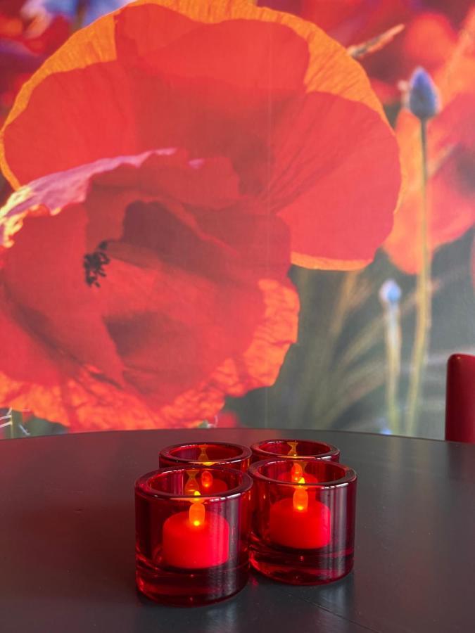 Achterhoeks Goed, Bed & Breakfast In Vragender Exterior foto